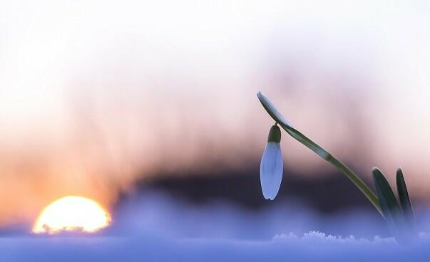 НОВОРОЖДЕННЫЙ