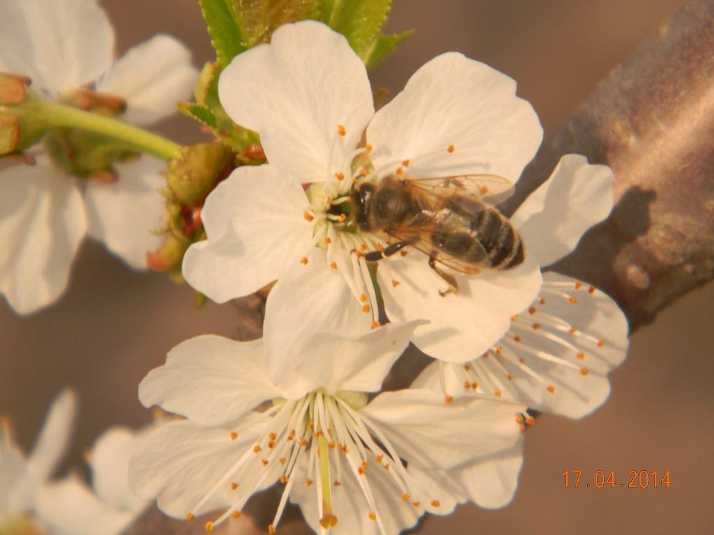 В тот день с утра стояла непогода.