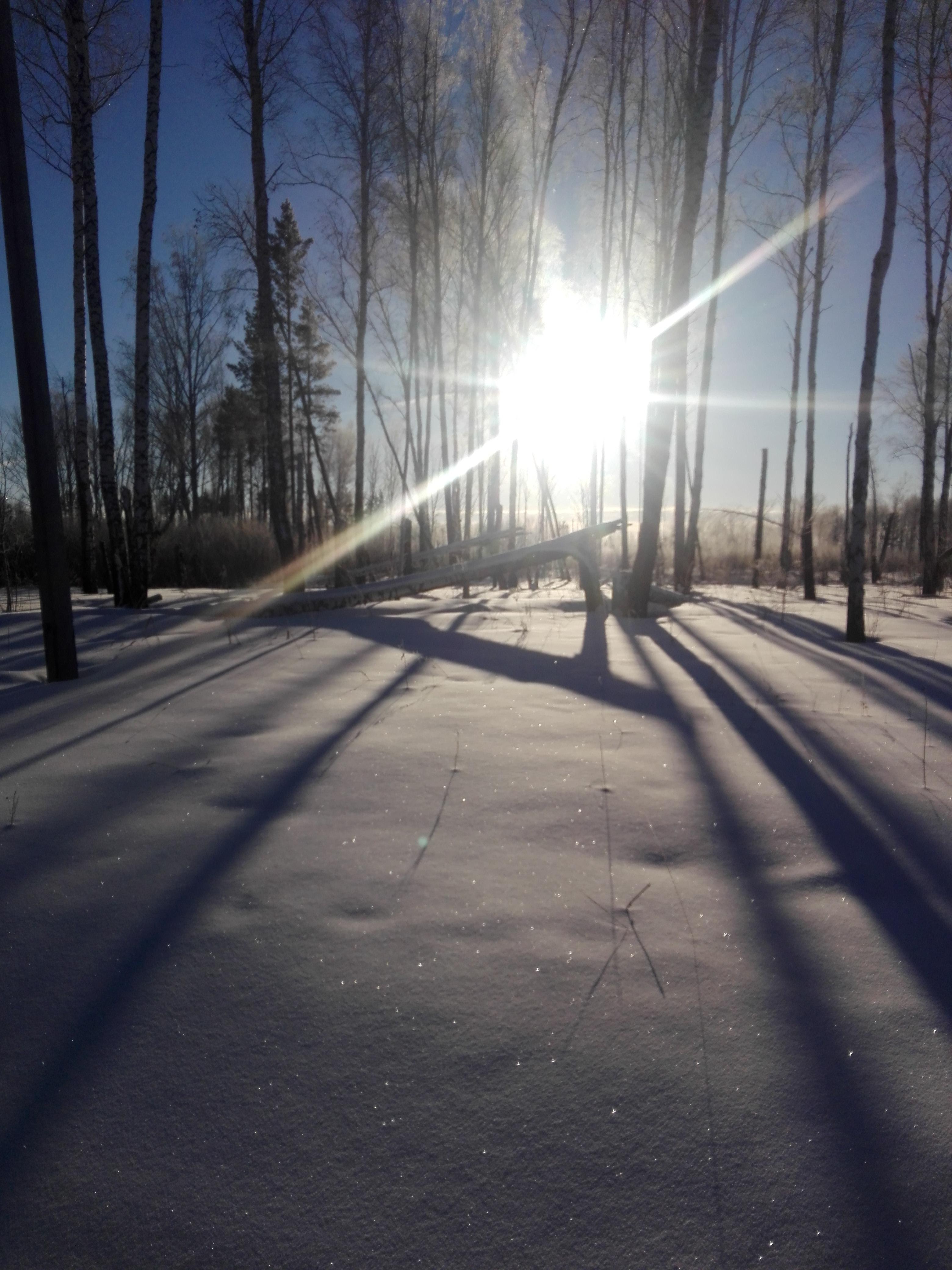 С рассветом