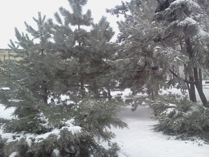 "Зима" (09,10.01.2016)