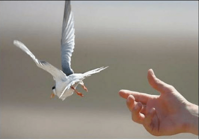 Когда-нибудь всё вернётся назад