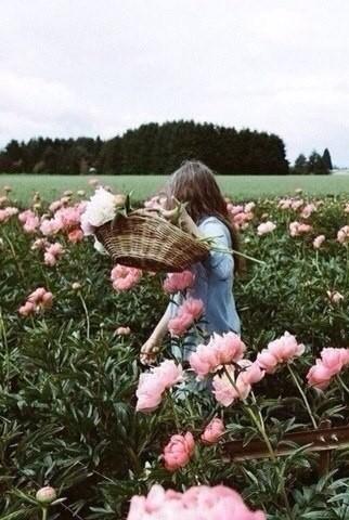 Цветок-есть душа всего живого