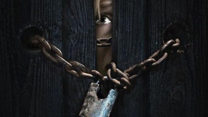 Засада для домушника