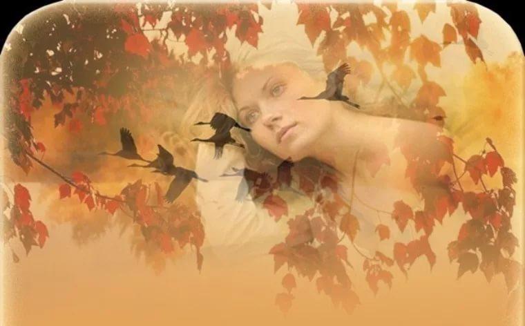 Дорога в осень.