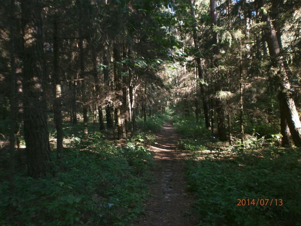 Без названия.