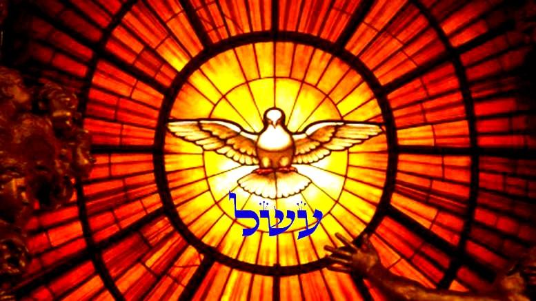 По имени Шофет