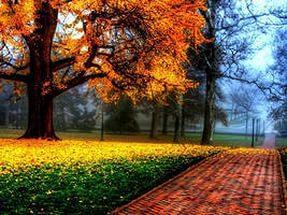 Пейзаж поёживаясь мерк.