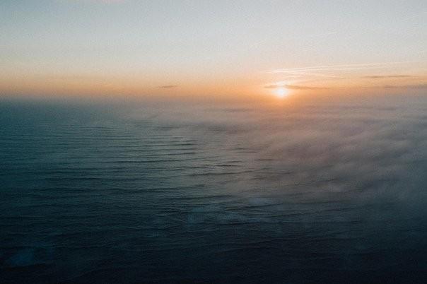 Пока не настанет завтра