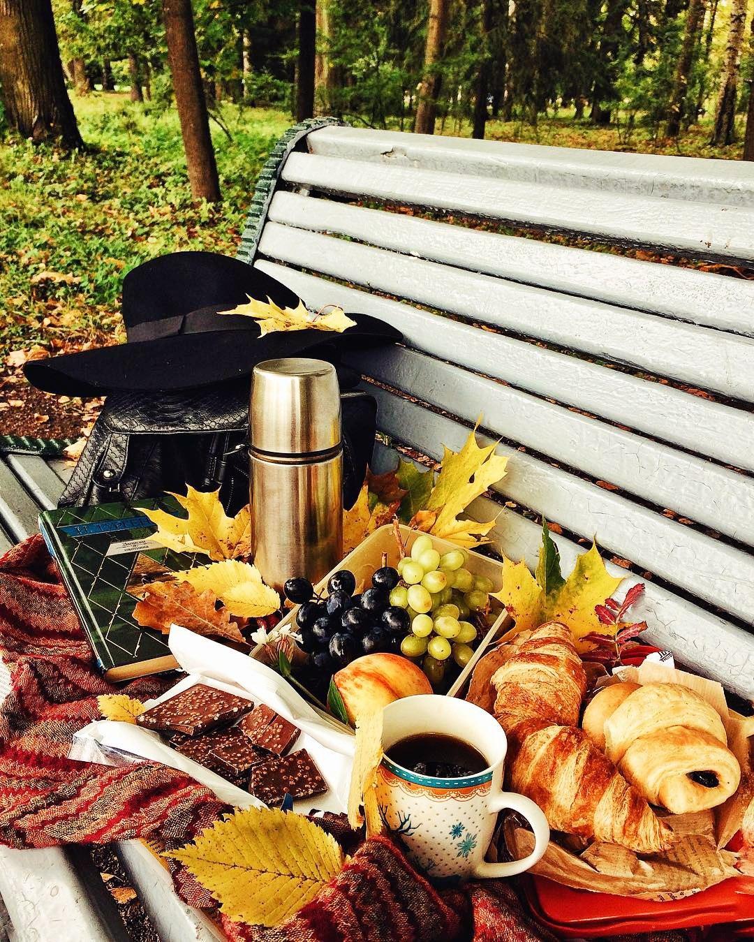 Утро пикник. Осенний пикник на природе. Пикник осенью на природе. Осеннее чаепитие. Чаепитие на природе.