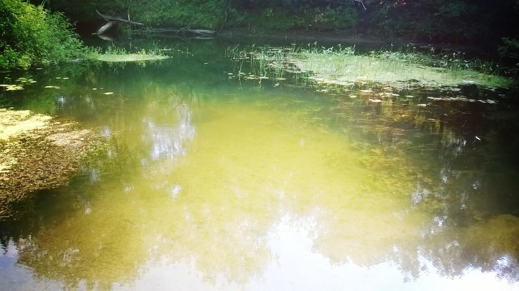 Последние числа лета