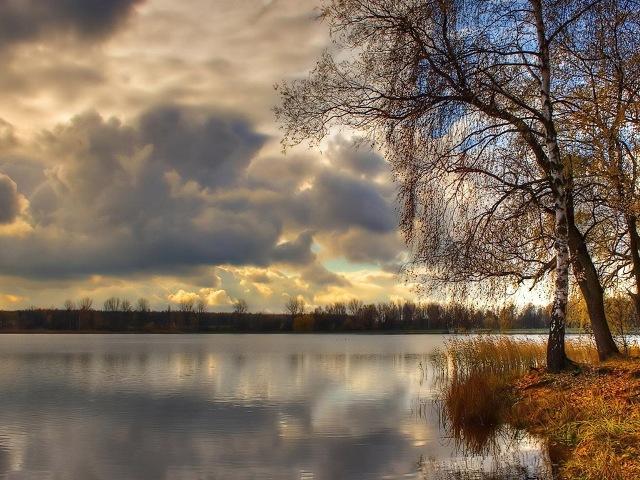 Осень поздняя