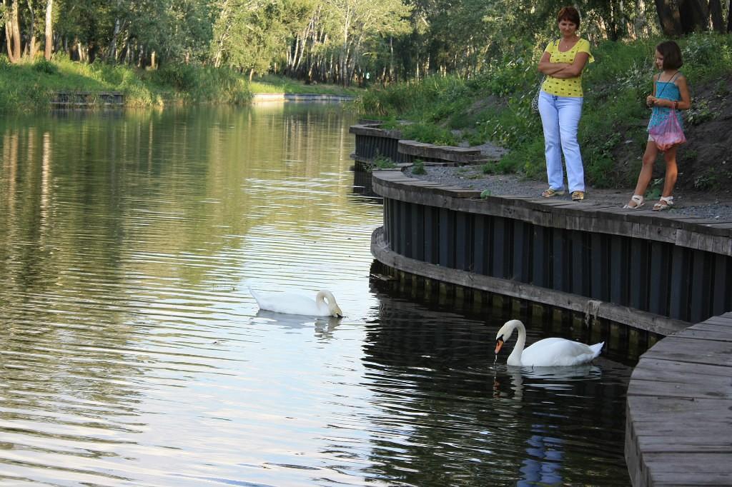 Я в тебе никогда не чувствовал женщину!