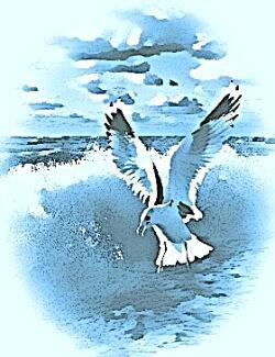 Ты придумал