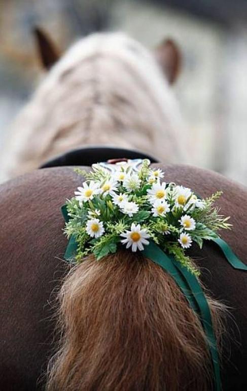 Весной грустить неохота!