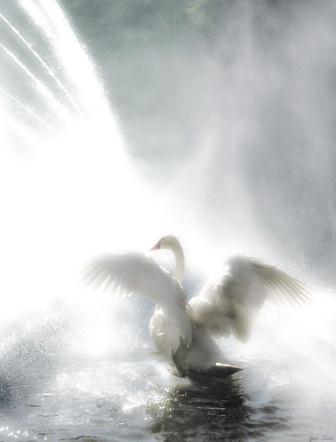 Свободу на сердце ничем не измерить