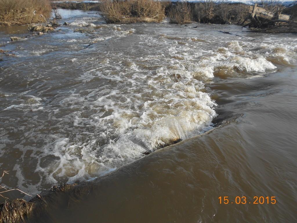 Слова мне шепчут струи родника