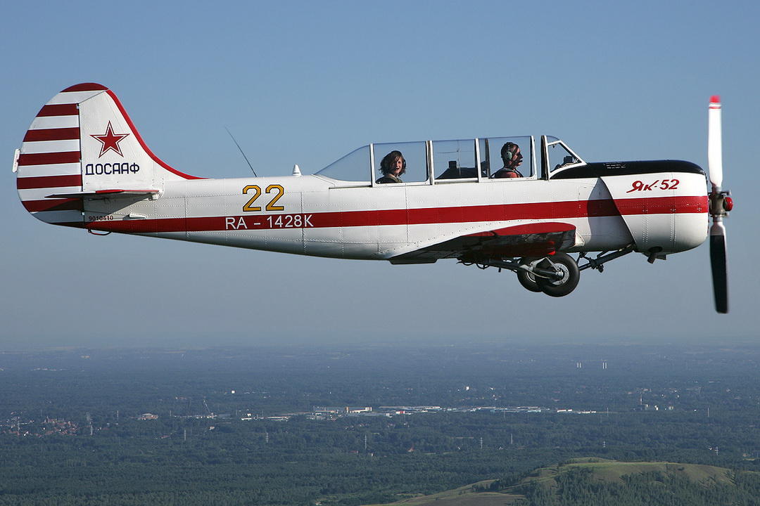 Серия... Небо. Птица... Яшка.