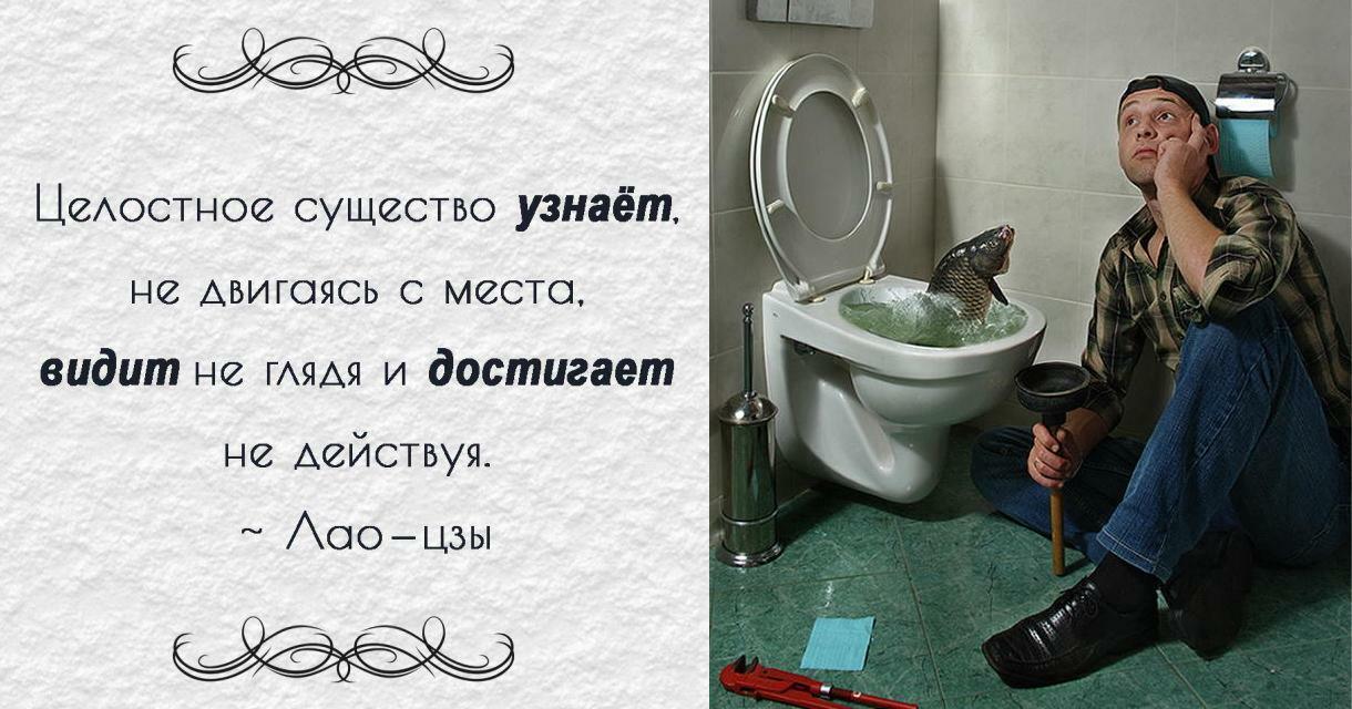 Сублимация либидо, или Дао санитарно-технических работ. 