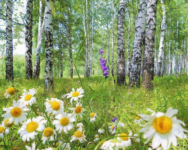 Детство босоногое....