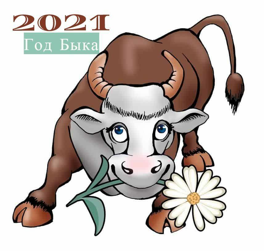 2021-й год – год Быка (акростих)
