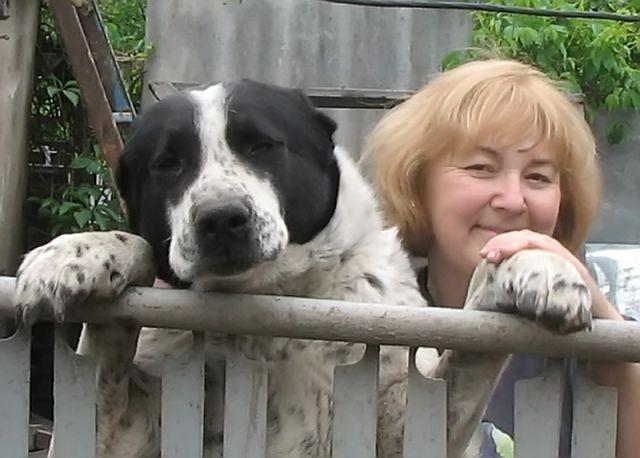 Подруге Тамаре, у которой находят приют все обездоленные кошки и собаки