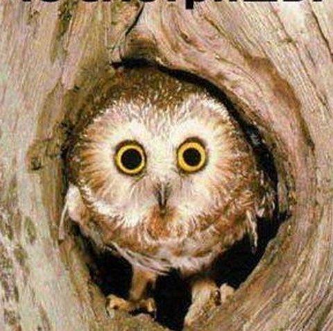 Автопортрет