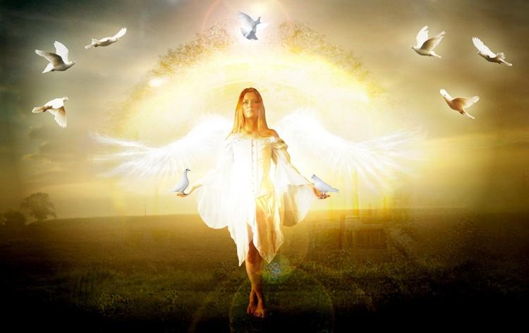 Ходить по світу щира любов