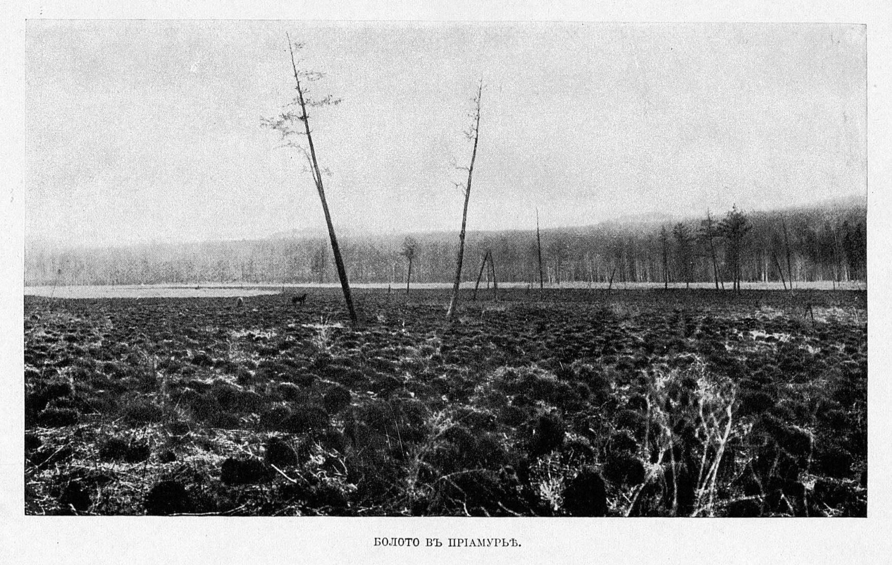 Подними глаза.