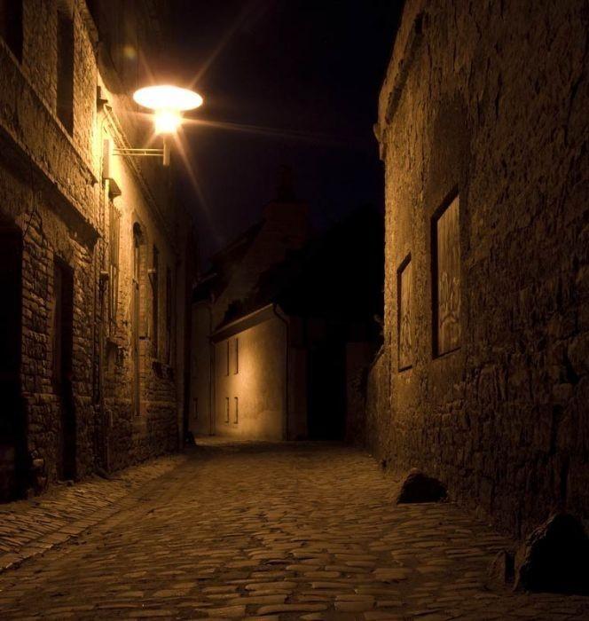 Бродячий пёс.