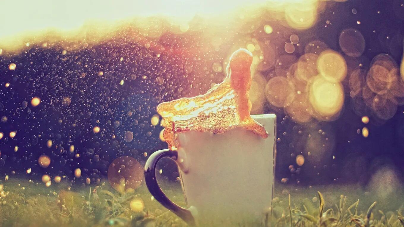 Волшебные привилегии