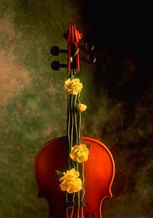 Монтеверди пиццикато