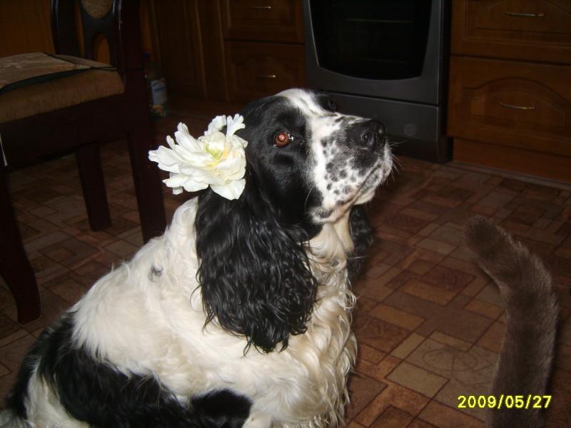 Моему другу