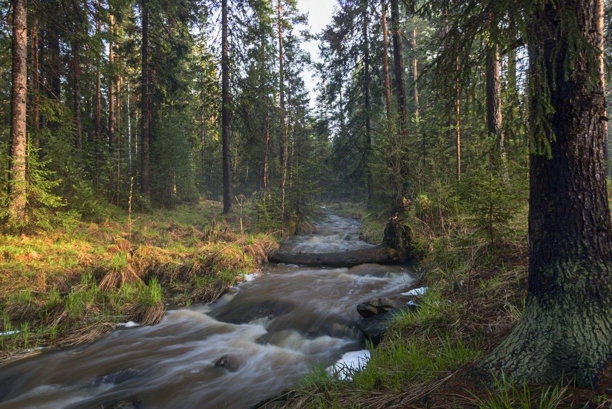 В голове у меня начинается рвота...