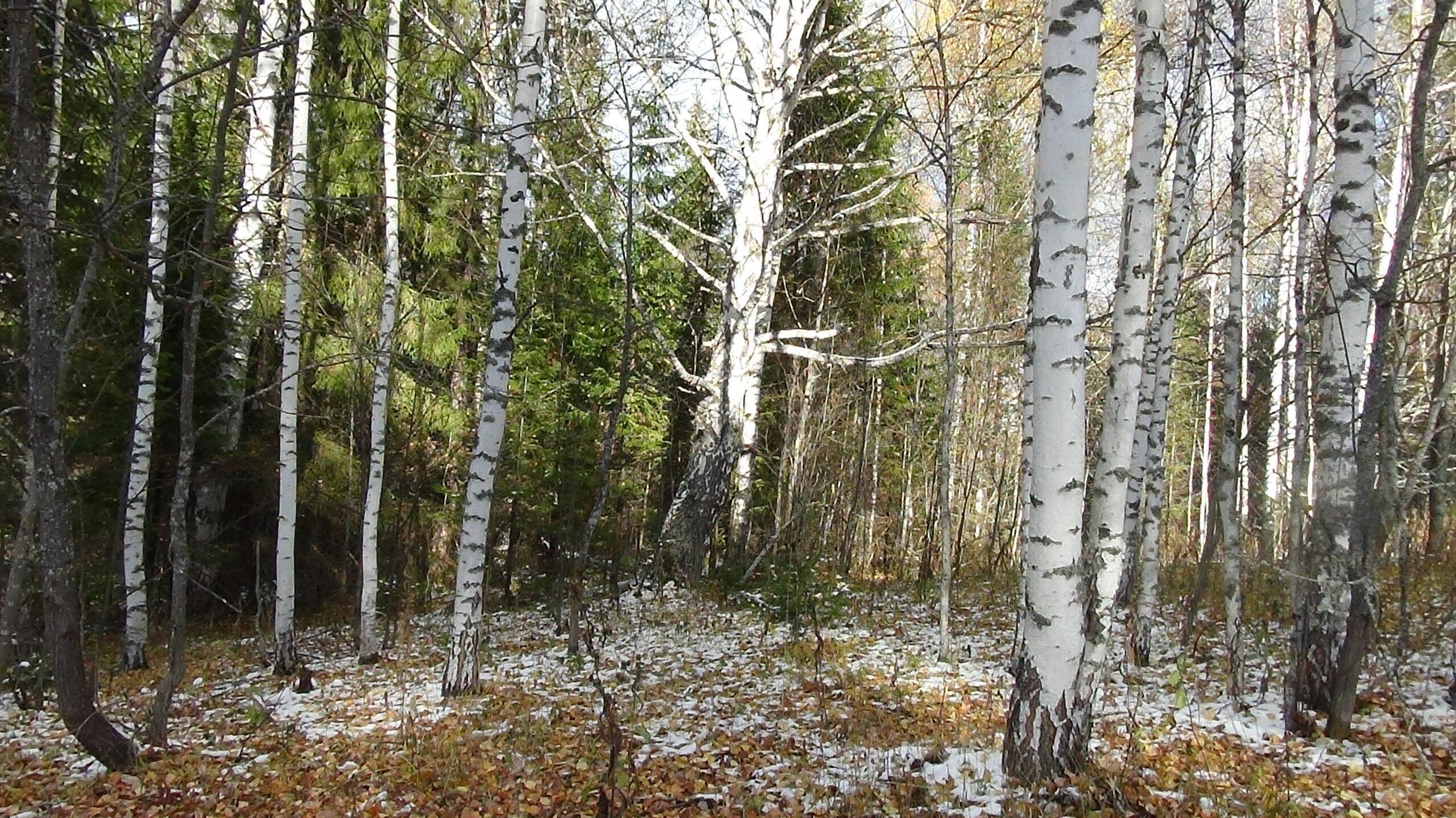 На палитре полутонов