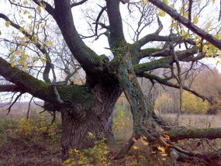 Про старость...