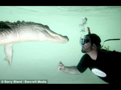 Подготовка к юбилею