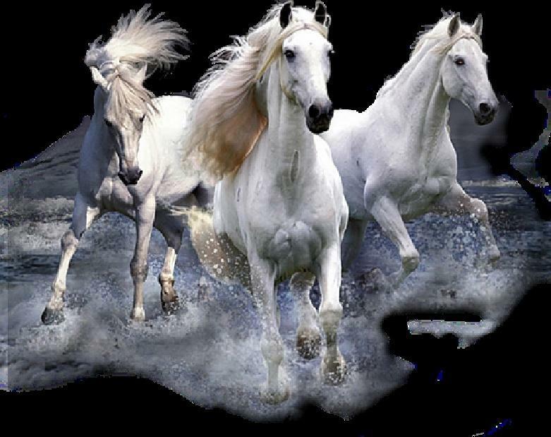 Тройка (Indie Rock #Taran&Ivan Ivanuch)