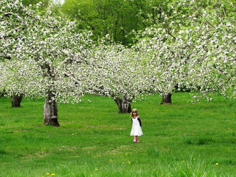 Как же , хочется на бал...