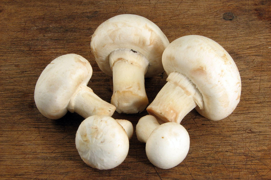 Шампиньоны