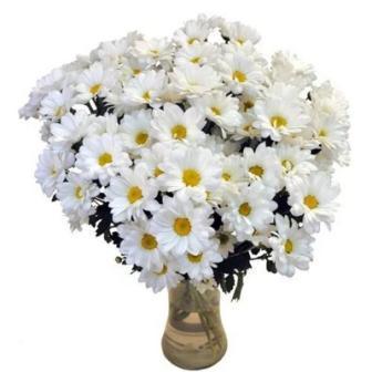 СОСЕДКЕ..(Галюсе).