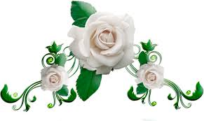 Теплота руки