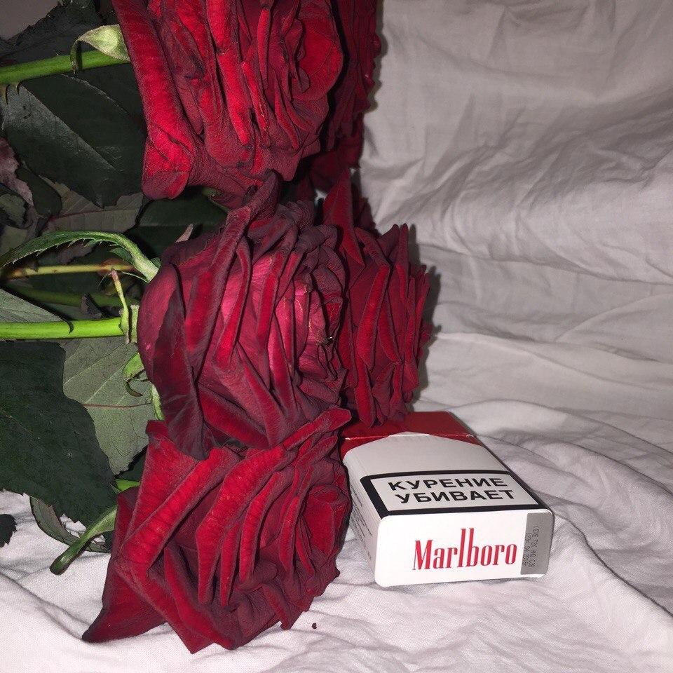 Или в вену тебя колоть?