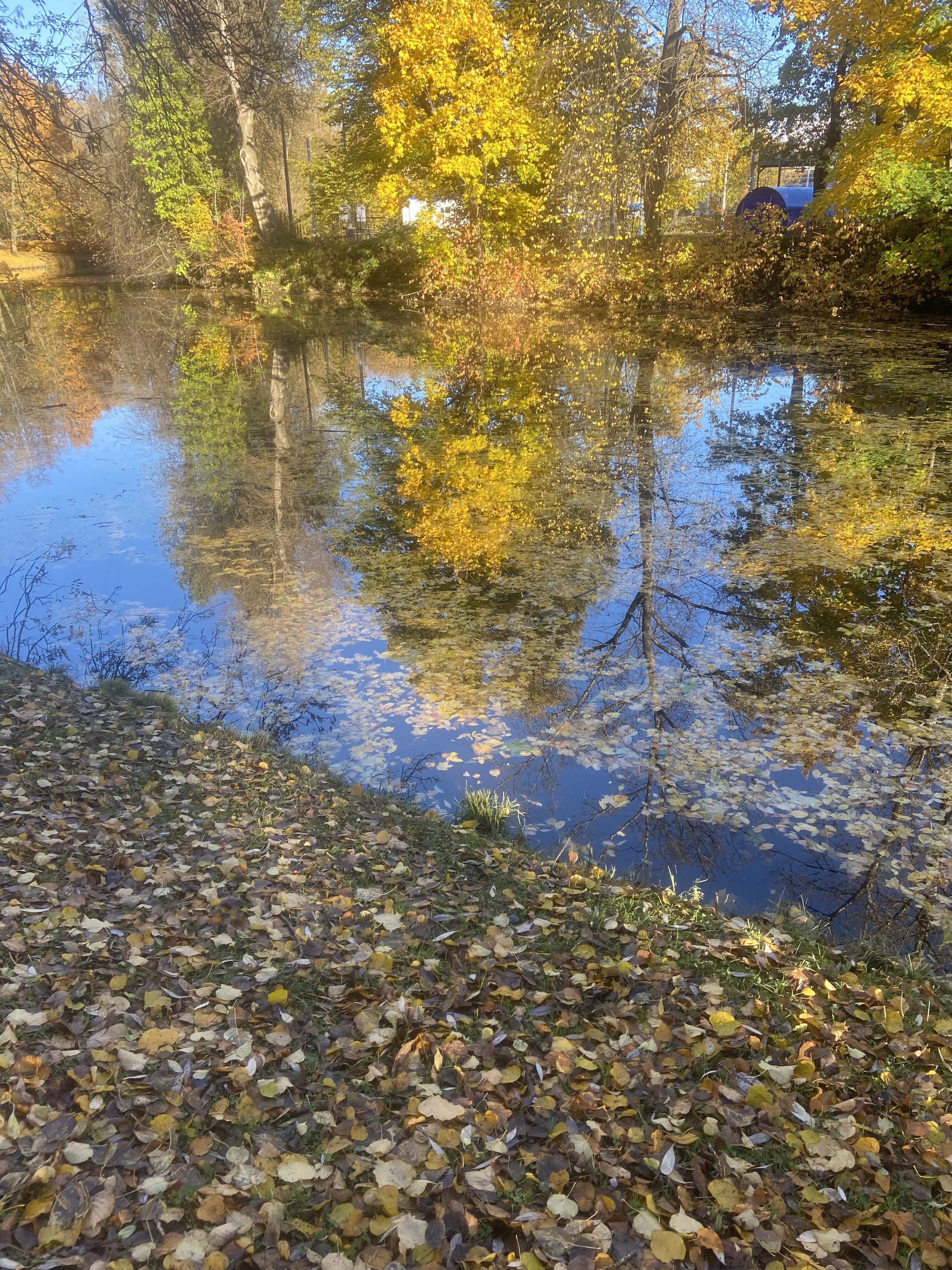Не поверю, что осень скучна