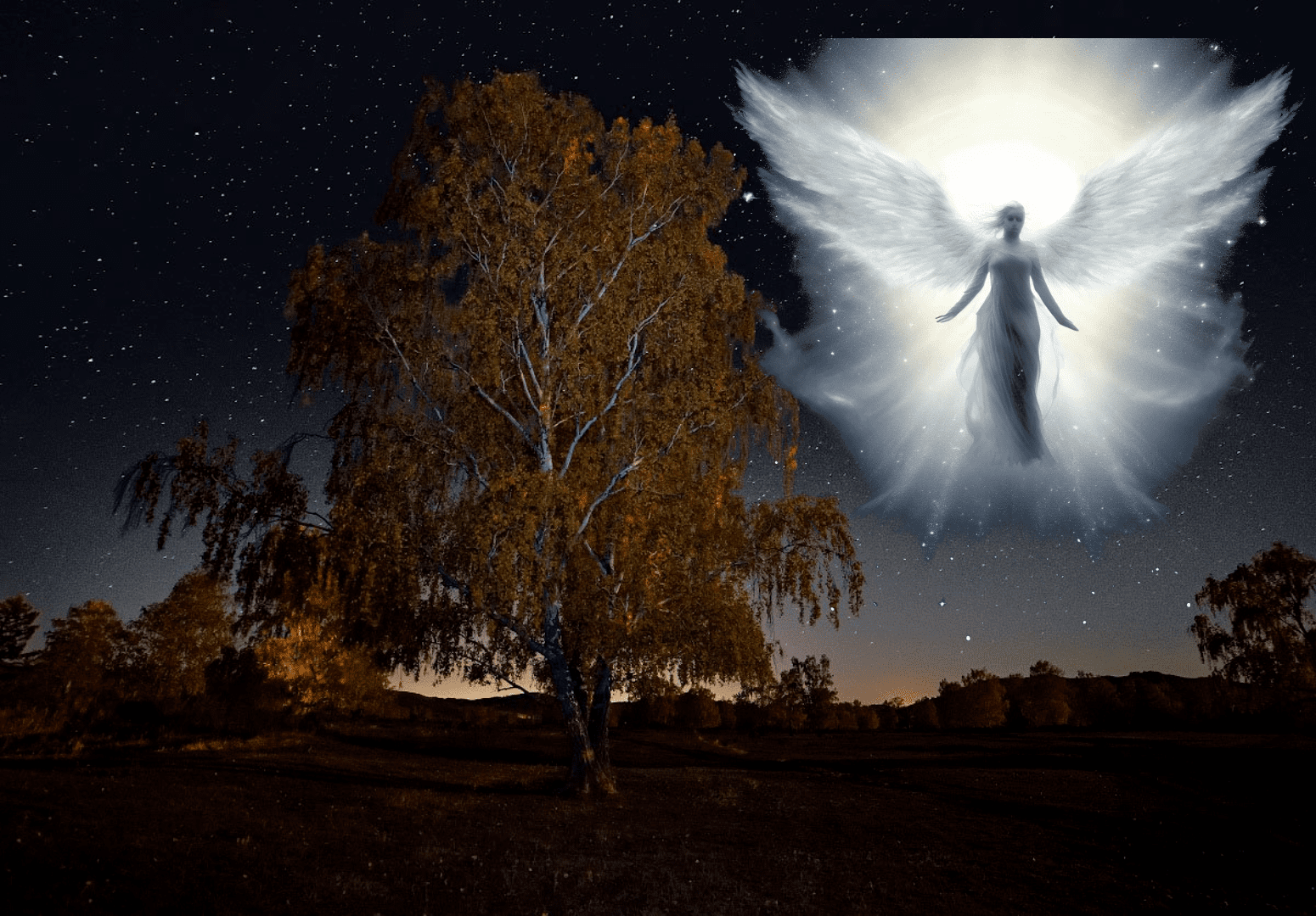 Благая весть ( Павел Севостьянов )