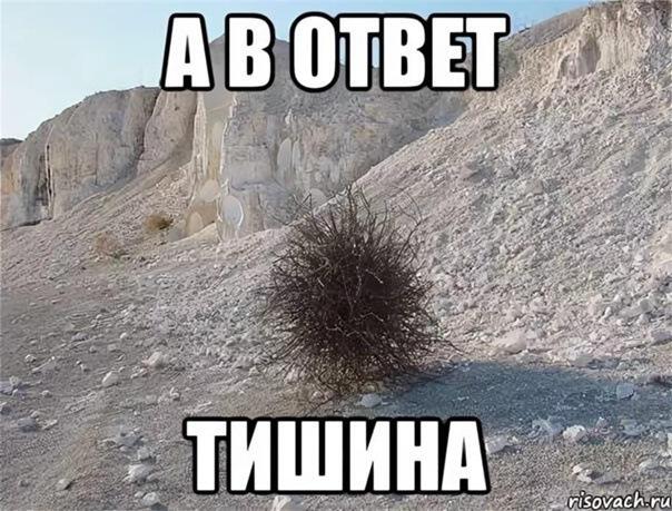 В разливах тишины