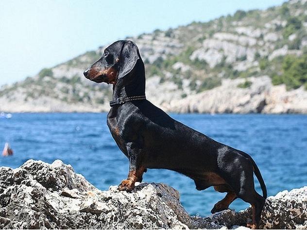 Кража в Ейске