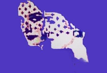 Я раненой птицей...  Сашка-лётчик. Лето 1989 г.