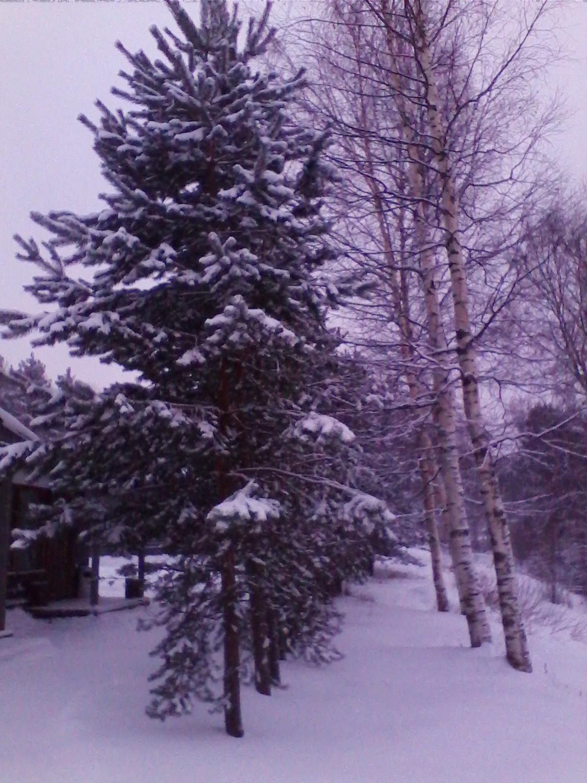 Зимой заснеженной