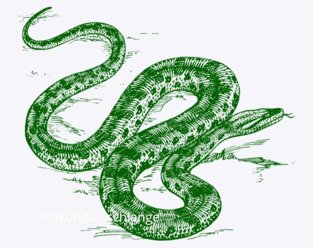 Змея рисовать