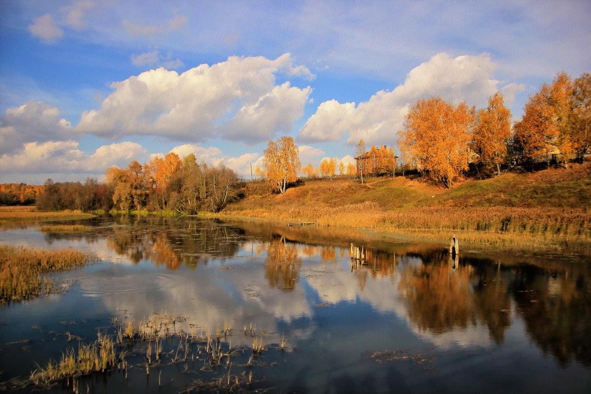 Пёстрых листьев кружево